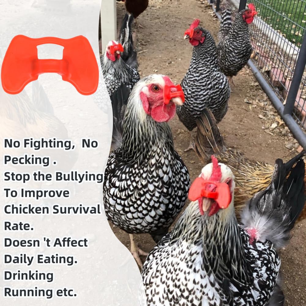 DoubleWood anti-pecking goggles help protect feathers in crowded coops.