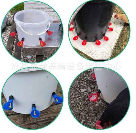 DoubleWood durable plastic construction withstands daily use in busy coops.