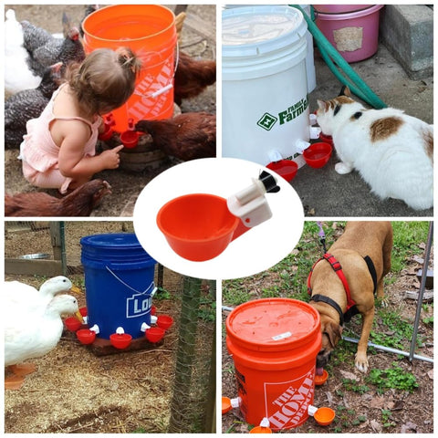 Space-saving design fits tight coop spaces with DoubleWood waterer.