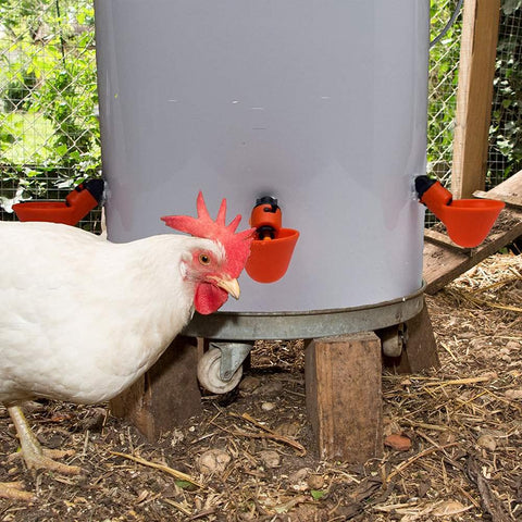 DoubleWood poultry drinking cup side installation shows versatile mounting options