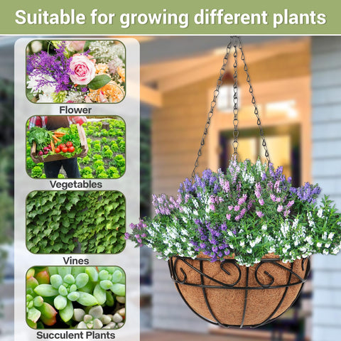 Dovesail versatile hanging basket supports moss, succulents, or flowering arrangements.