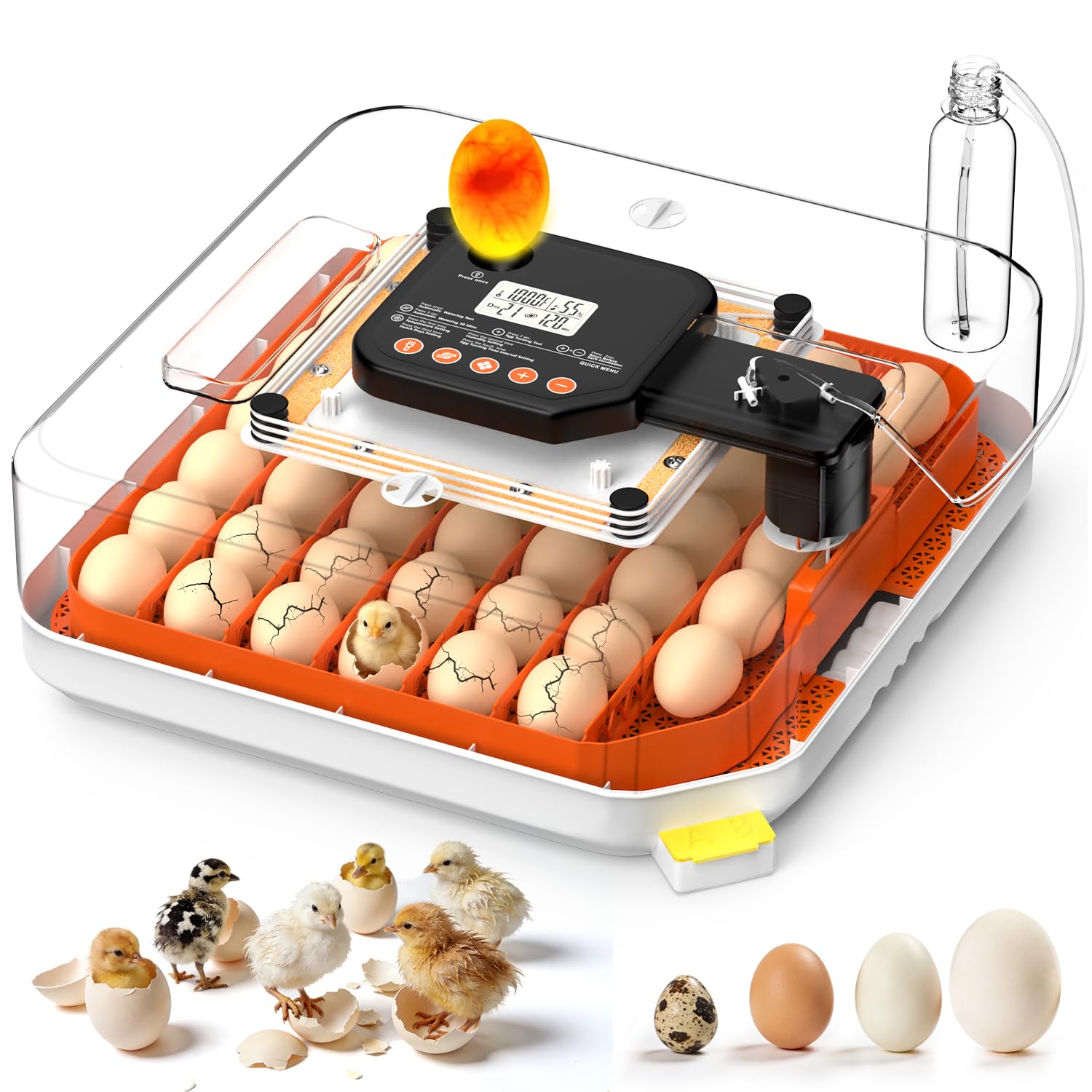 Dovnis 48-egg incubator front view with clear lid for easy monitoring
