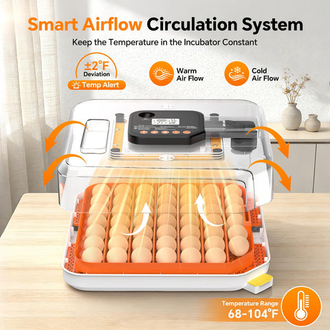 Dovnis auto-turning system demonstrating hands-free incubation