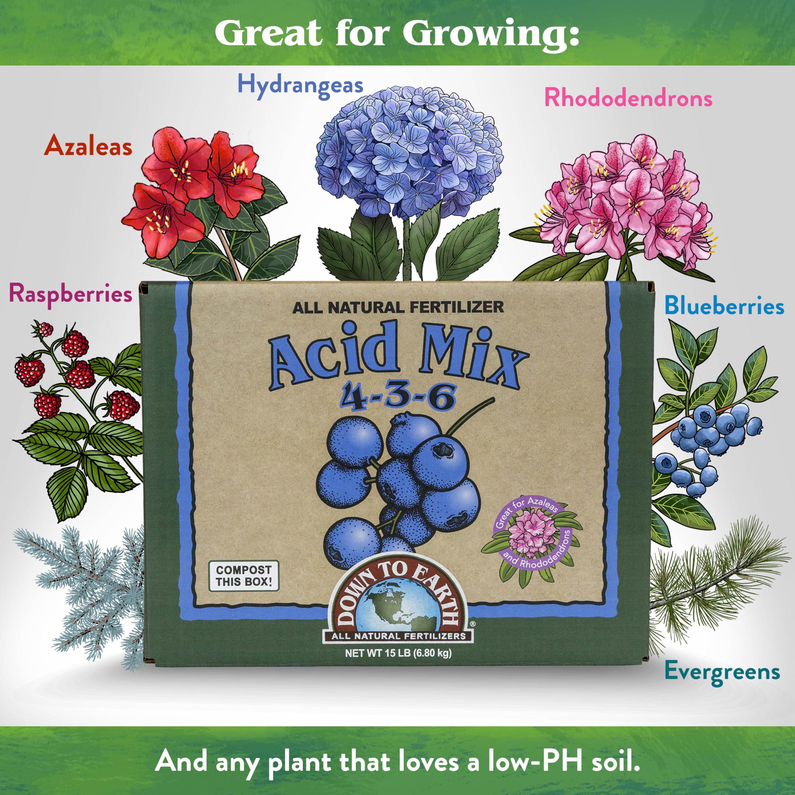 Down To Earth Acid Mix azaleas and rhododendrons image shows pH-friendly feeding
