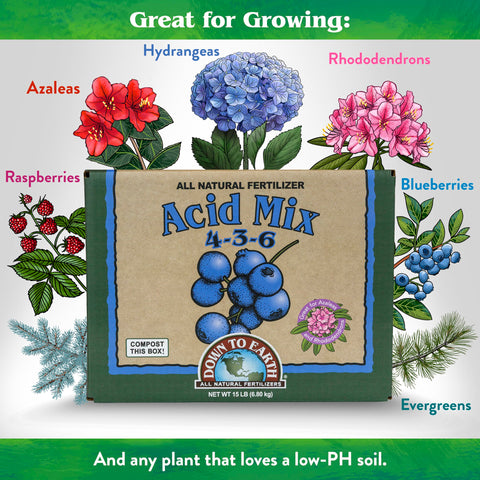 Down To Earth Acid Mix azaleas and rhododendrons image shows pH-friendly feeding