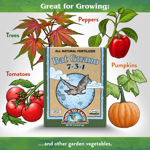 Bat guano mixed into potting soil supporting lush growth