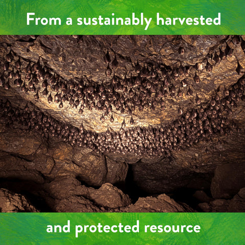 Down To Earth bat guano OMRI-listed for organic production use