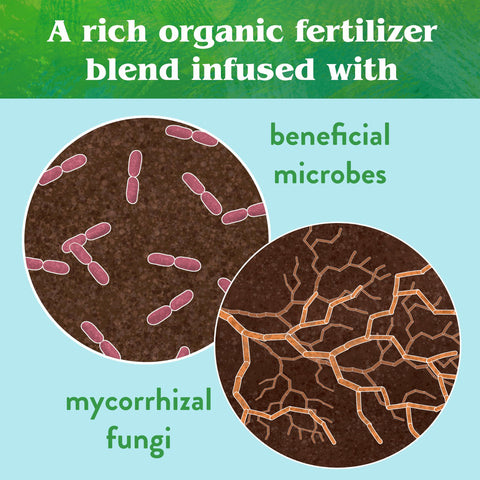 Bio-Live blended with other DTE fertilizers for enhanced growth.