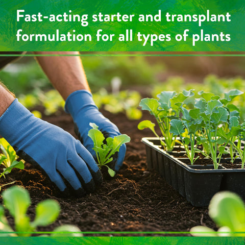 Bio-Live supports vegetables and herbs for fuller, healthier yields.