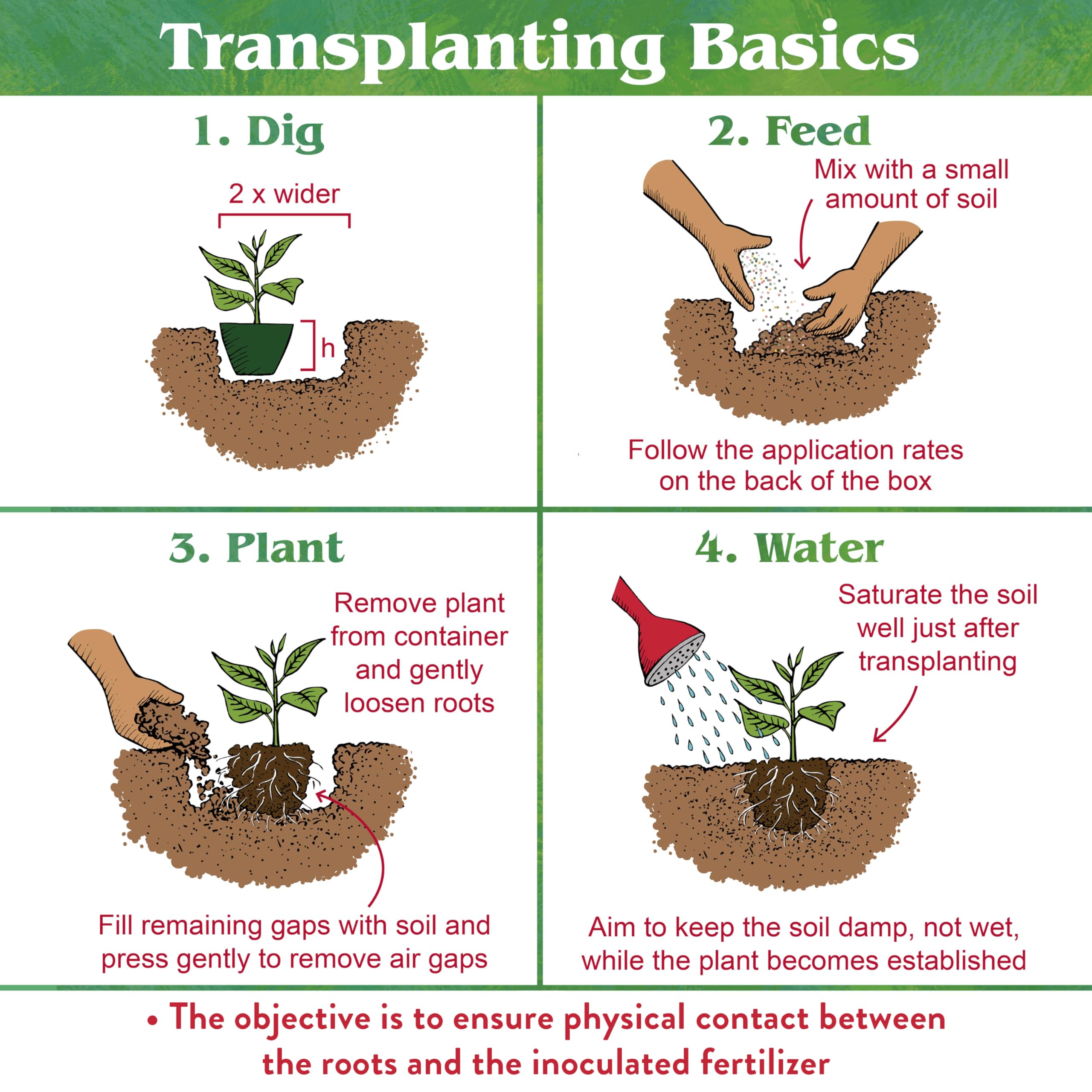 Down To Earth Bio-Live mix highlighting organic nutrients for plant growth.