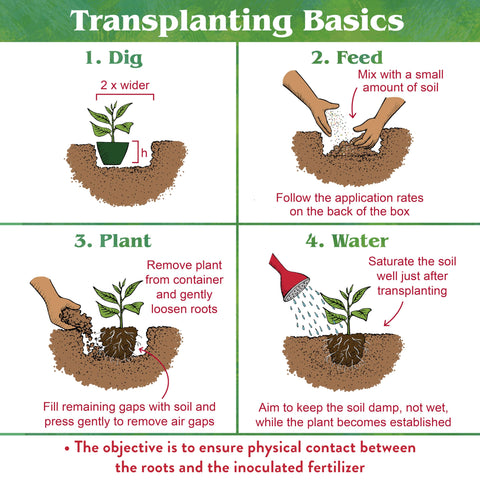 Down To Earth Bio-Live mix highlighting organic nutrients for plant growth.