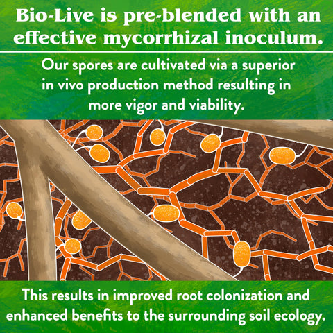 5-lb box of Bio-Live ready for easy garden use.
