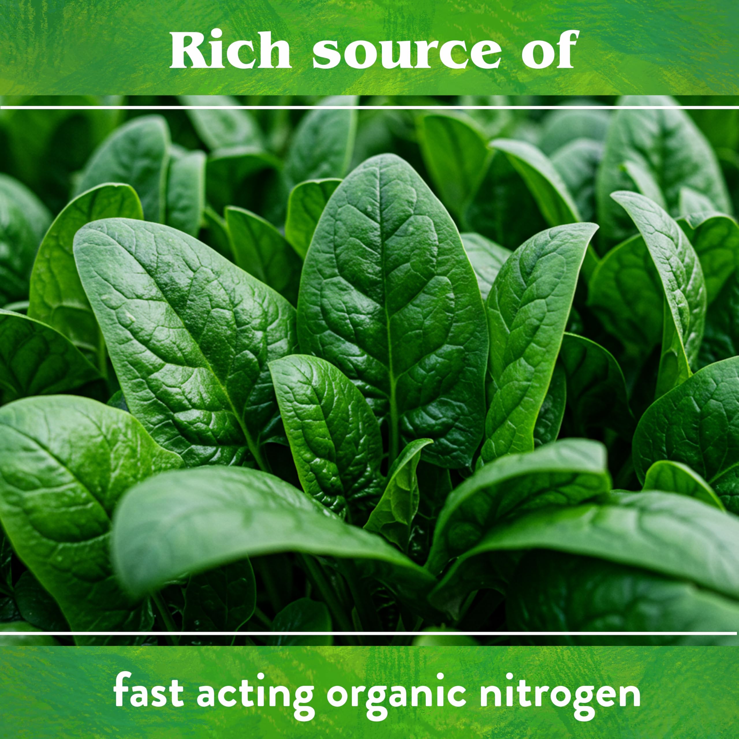 Down To Earth Blood Meal 12-0-0 soil-fertility boost with organic matter.