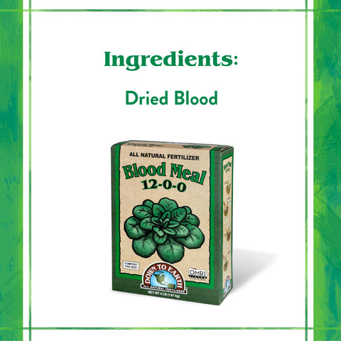 Down To Earth Blood Meal 12-0-0 applied in vegetable garden for quick green-up.