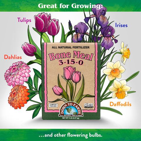 Down To Earth Bone Meal near bulbs ready for planting
