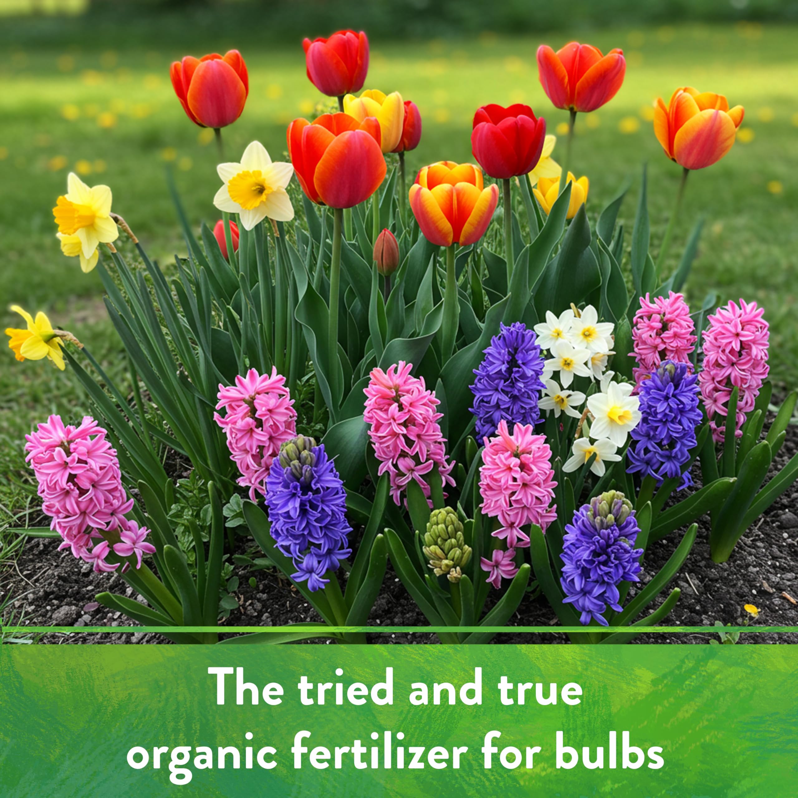 Down To Earth Bone Meal used in ornamental garden care