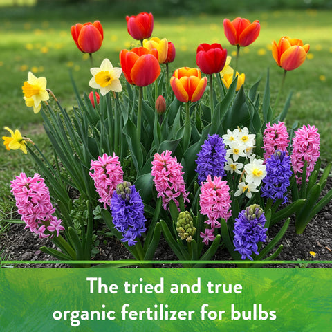 Down To Earth Bone Meal used in ornamental garden care