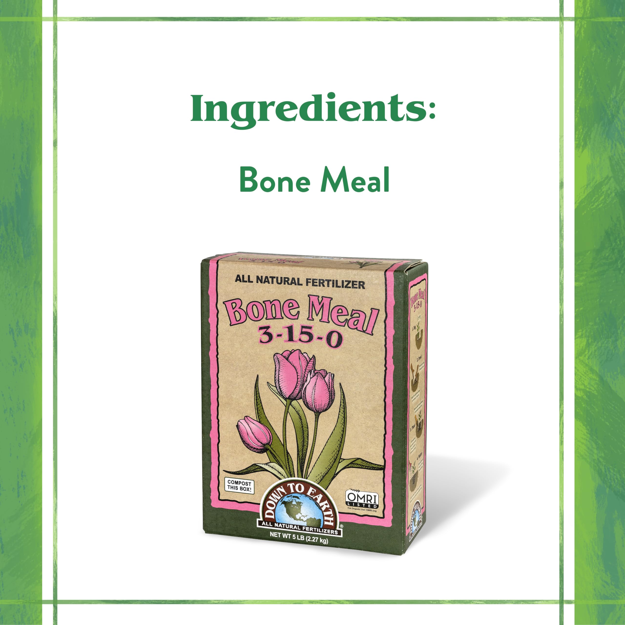 Down To Earth Bone Meal promoting robust root growth in the garden