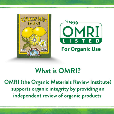 Home orchard setup with Down To Earth Citrus Mix improves soil structure.