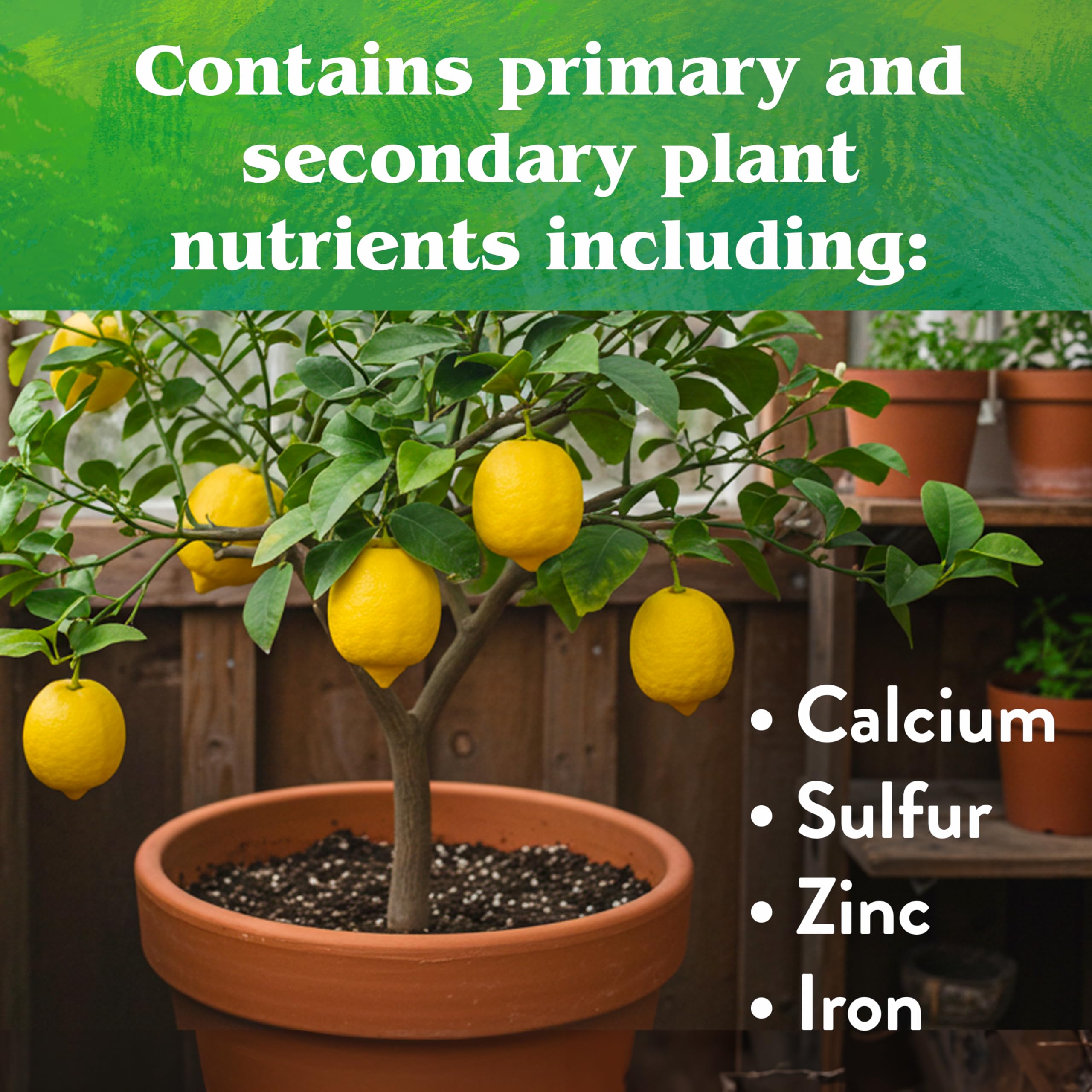 Lemon tree application with Down To Earth Citrus Mix boosts foliage.
