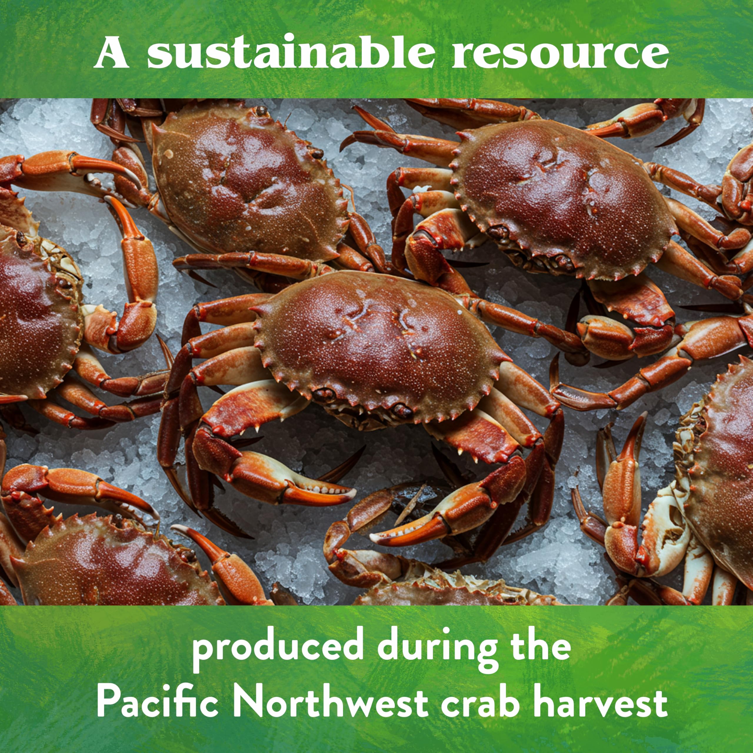 Down To Earth crab meal used in container garden for potted plants