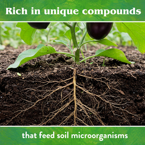 Down To Earth crab meal mixing with soil to boost microbial activity