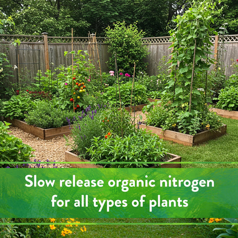 Down To Earth feather meal on lawn setting promotes lush green turf.