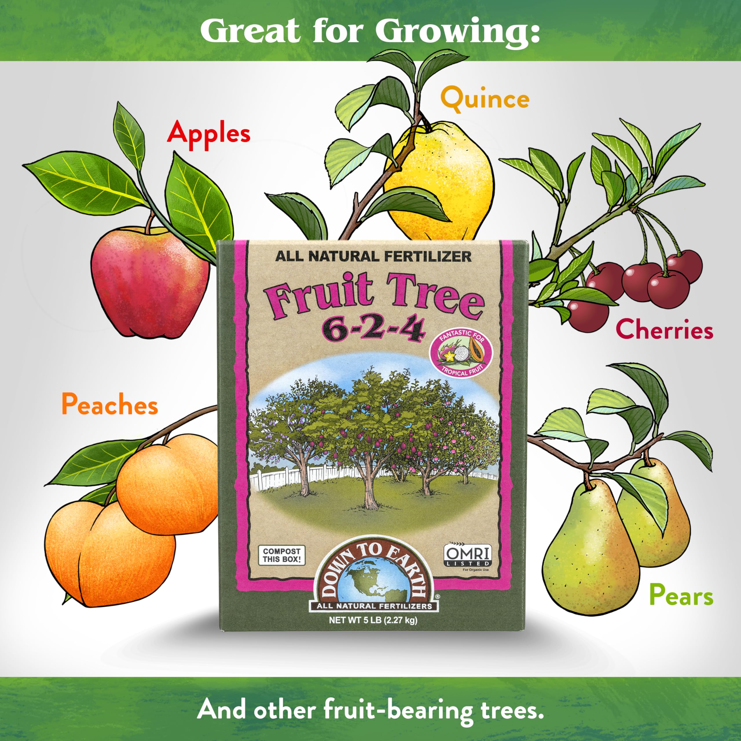 Down To Earth Fruit Tree fertilizer contents close-up highlights 6-2-4 balance.