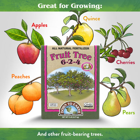 Down To Earth Fruit Tree fertilizer contents close-up highlights 6-2-4 balance.