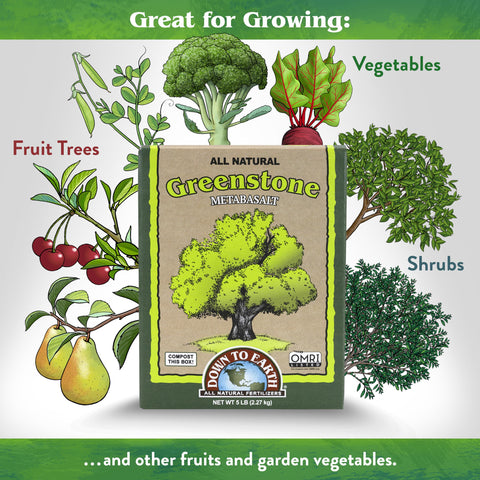 Greenstone Metabasalt powder with green tint ideal for soil fortification