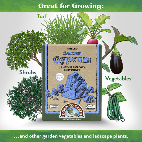 Down To Earth gypsum is pH-neutral and safe for pH-sensitive plants