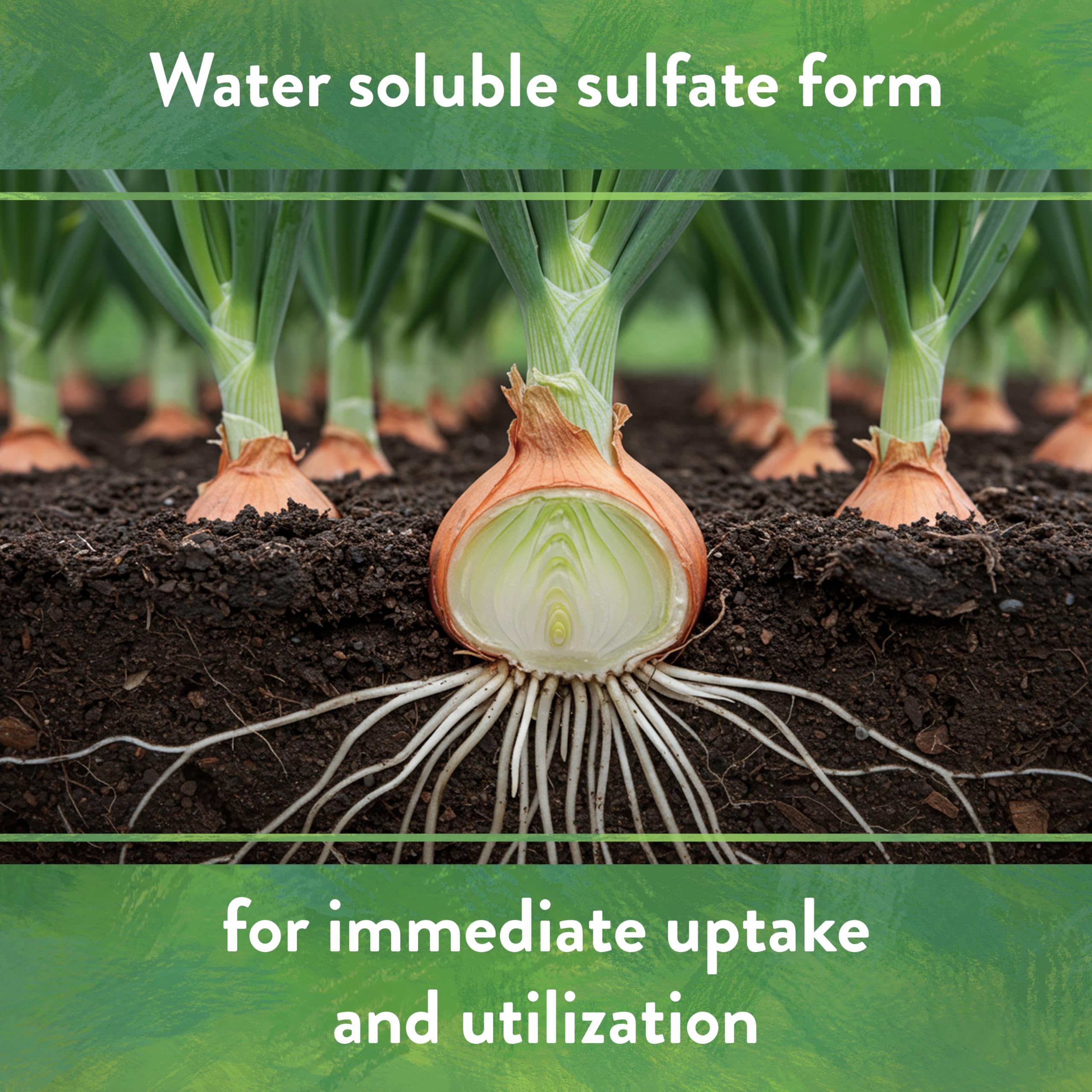 Down To Earth hydroponic-ready potassium sulfate for nutrient solution.