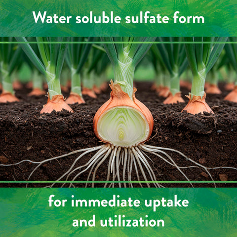 Down To Earth hydroponic-ready potassium sulfate for nutrient solution.