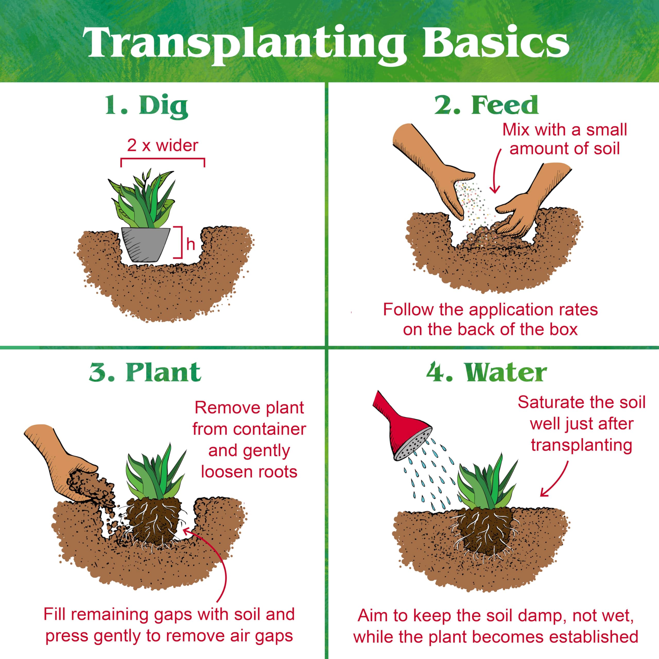 Down To Earth Fertilizer supports indoor and outdoor succulent care.