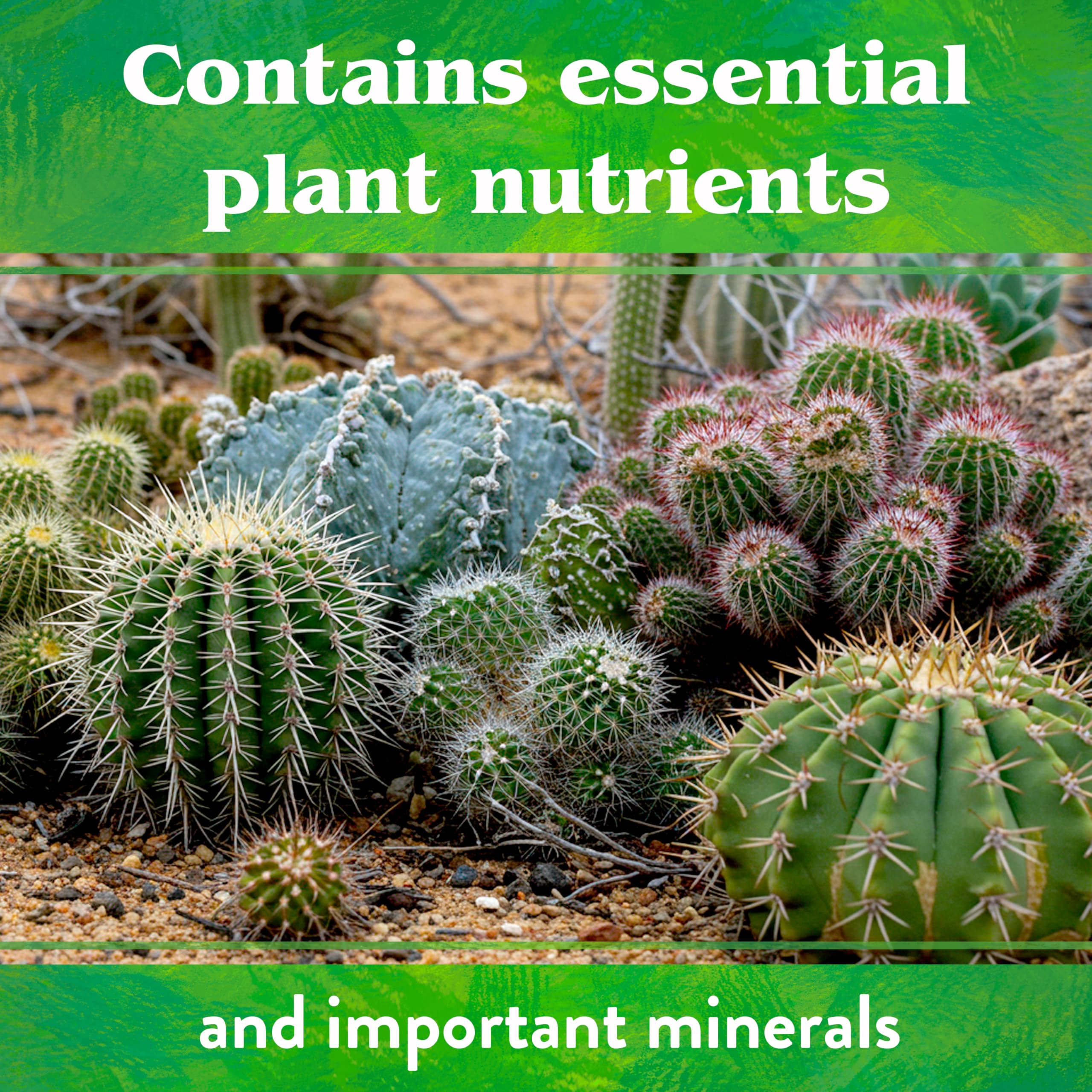 Down To Earth 1 lb box enables easy home application for succulent lovers.