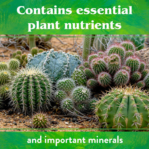 Down To Earth 1 lb box enables easy home application for succulent lovers.