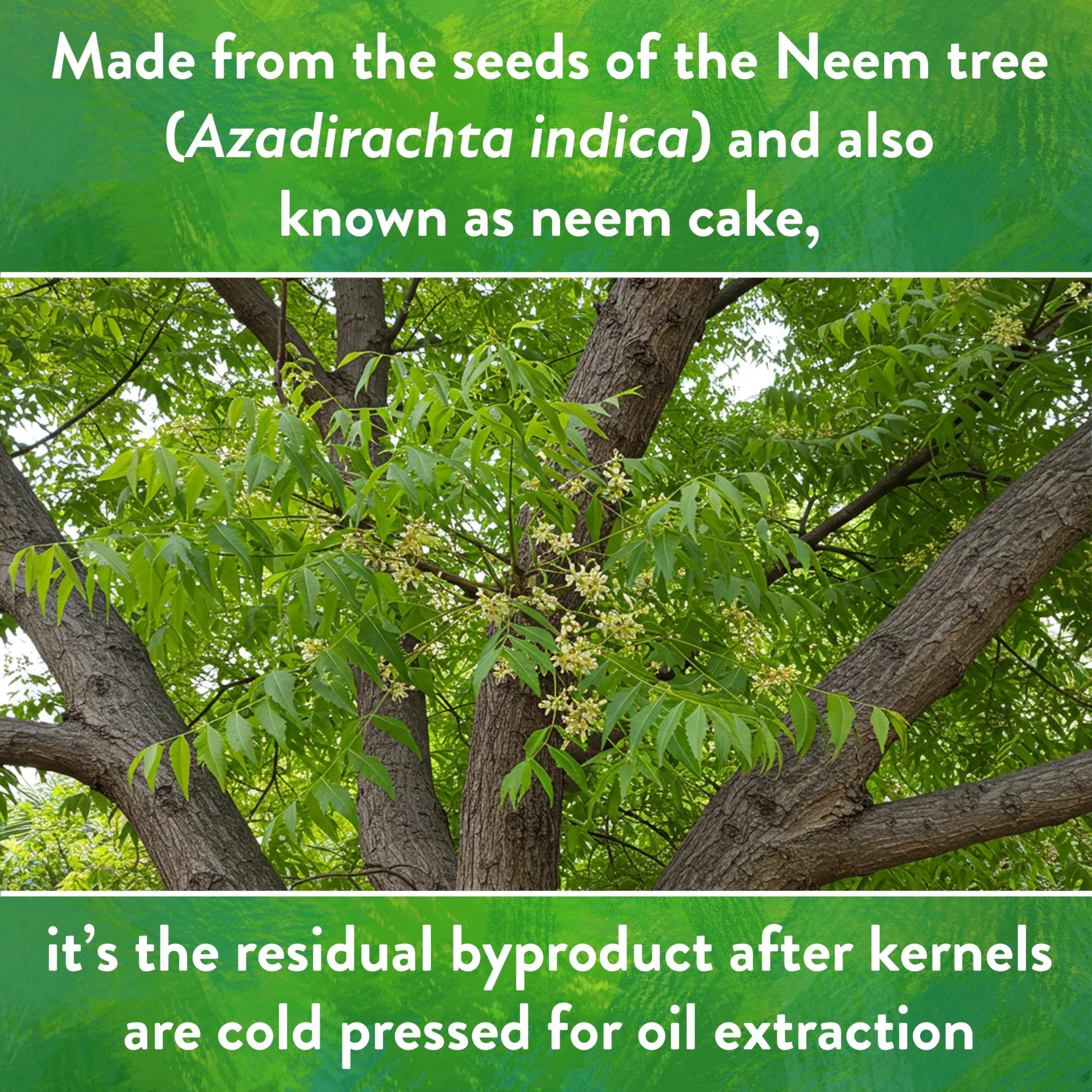 OMRI-listed Down To Earth Neem Seed Meal label on packaging