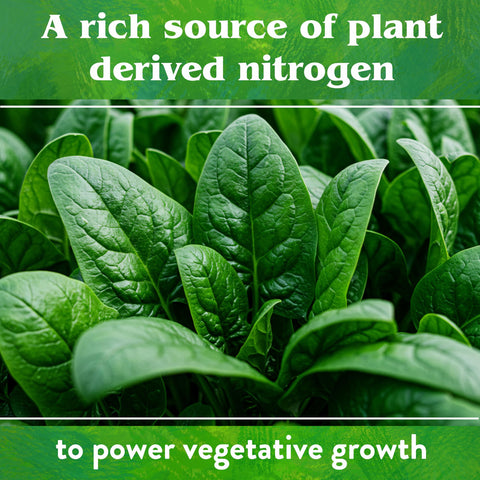 Neem Seed Meal acts as a natural pest deterrent option