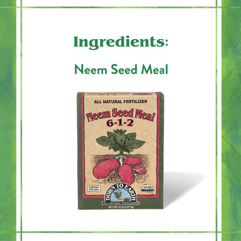 Neem Seed Meal applied in raised beds nourishes roots