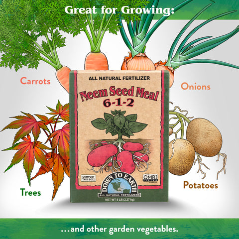 Neem Seed Meal in vegetable garden promotes lush foliage