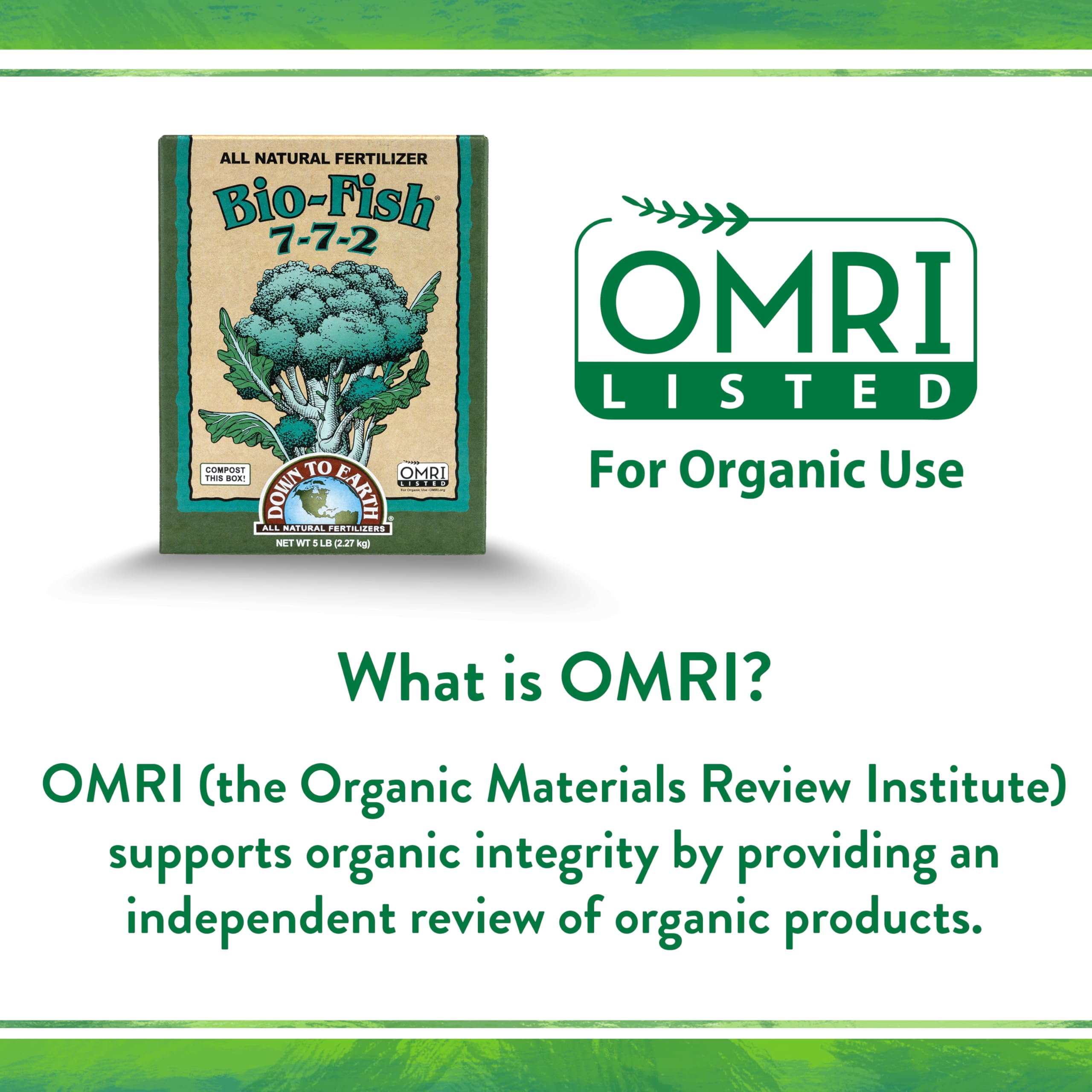 Down To Earth Bio-Fish organic garden bed thriving with microbial activity