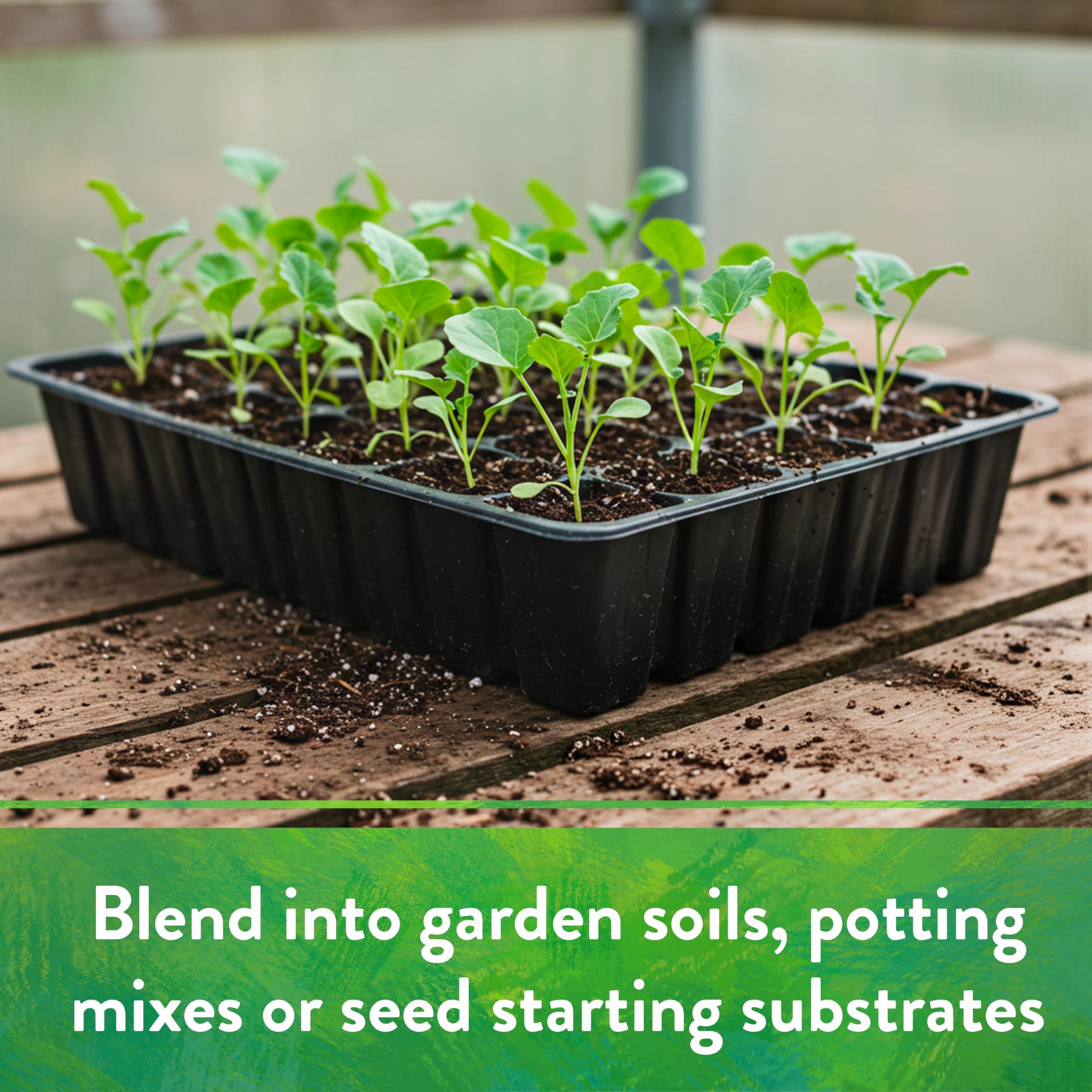 Down To Earth Organic Starter Mix used in a container garden for pots and planters.