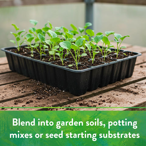 Down To Earth Organic Starter Mix used in a container garden for pots and planters.