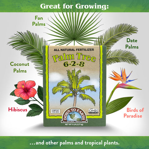 Down To Earth palm tree food added to container plants for strong roots