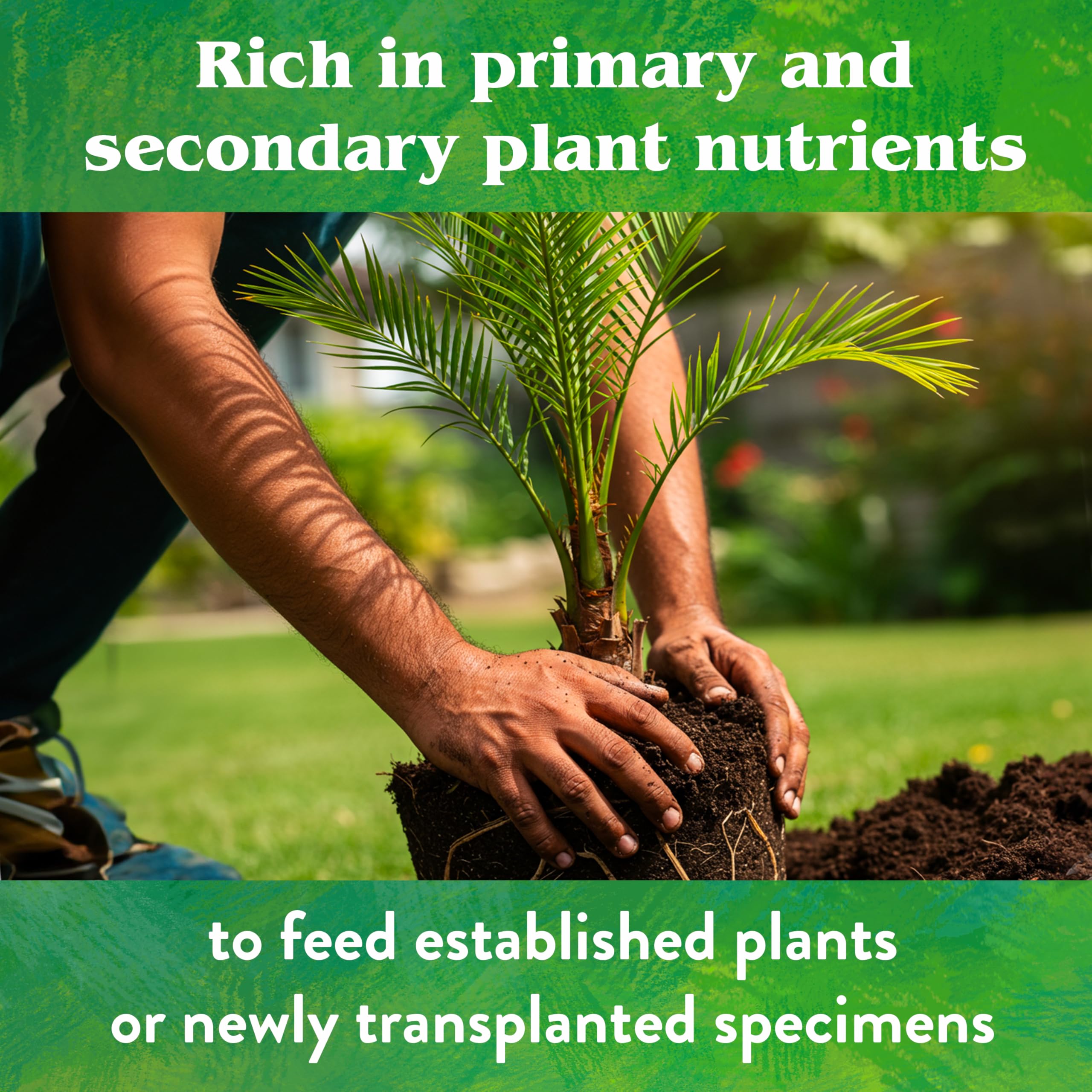 Down To Earth palm tree food used in yard landscape for vigor