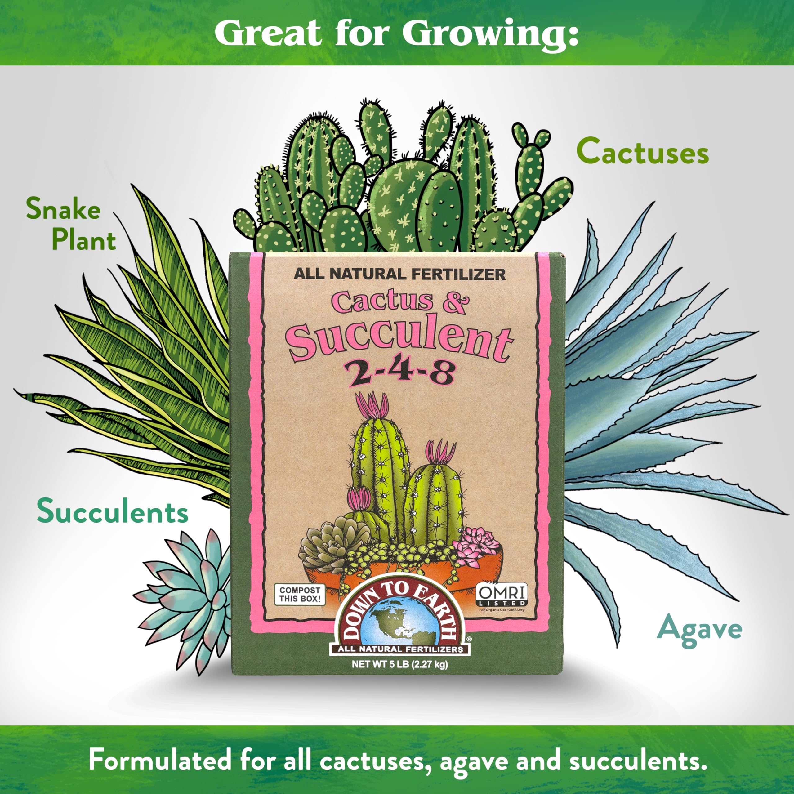 Potted succulents thrive after application of Down To Earth mix.