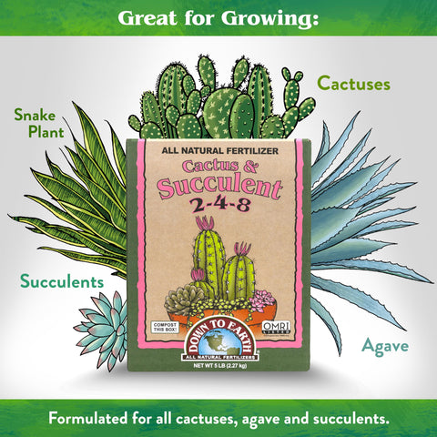 Potted succulents thrive after application of Down To Earth mix.