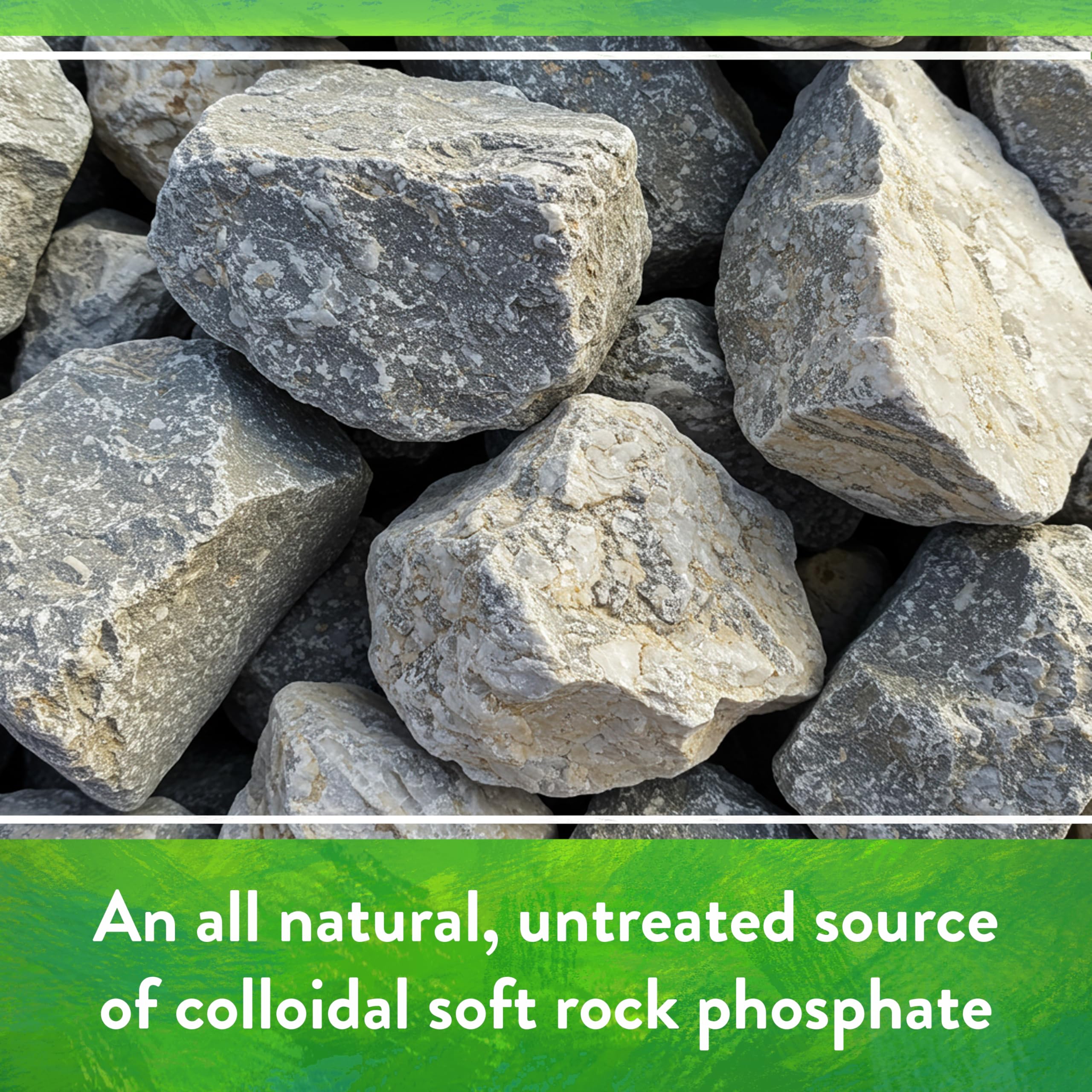 Down To Earth Rock Phosphate in flowering beds may encourage vibrant blooms and healthy roots.