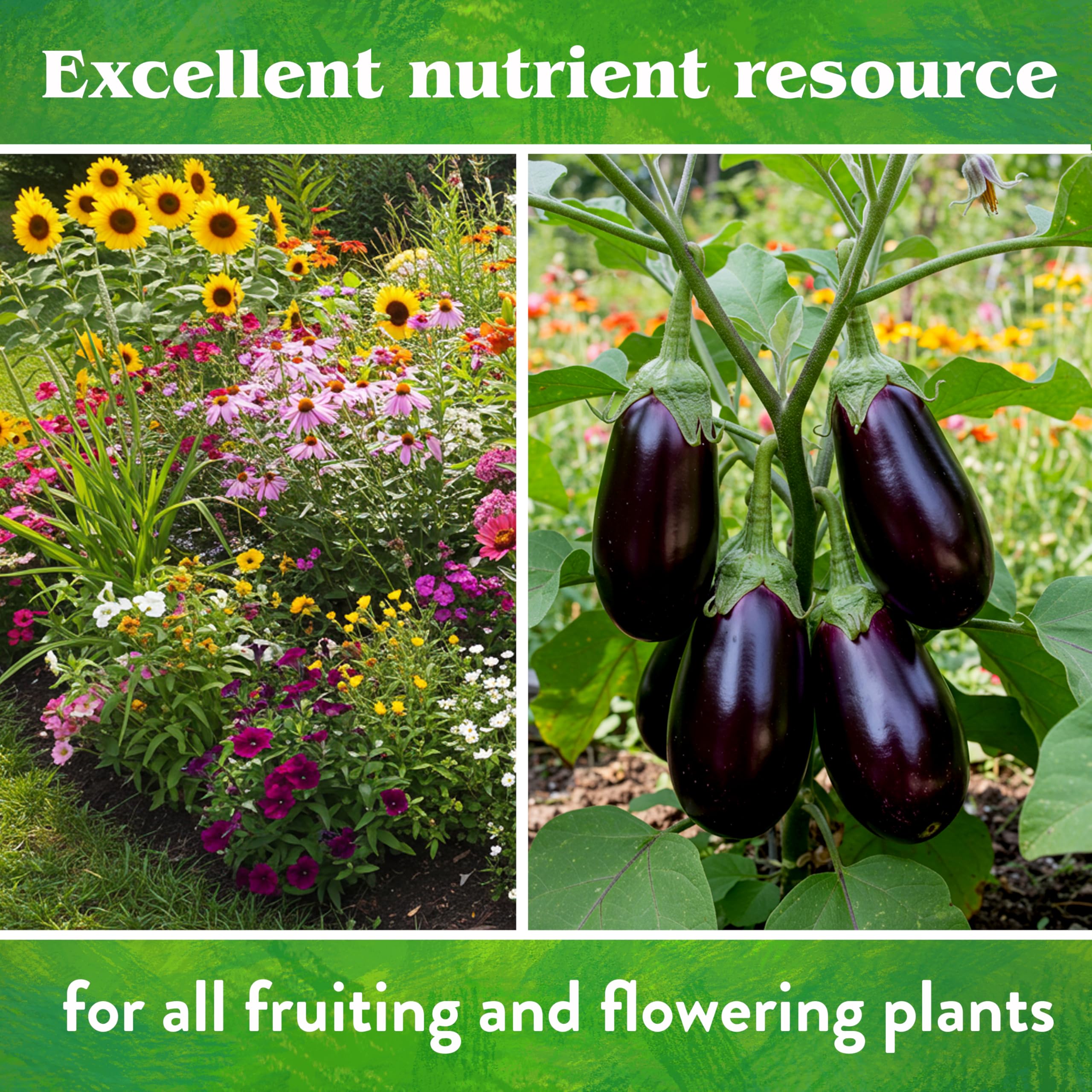 Down To Earth Rock Phosphate being mixed into soil improves long-term fertility.