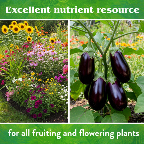 Down To Earth Rock Phosphate being mixed into soil improves long-term fertility.